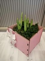 5 тюльпанов в кашпо с атласной лентой подарочные KM728 купить в Москве