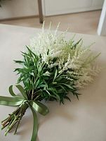 Астильба белая "Вашингтония" — пушистый цветок в срезке | Для свадебных и нежных букетов SR492 купить в Москве