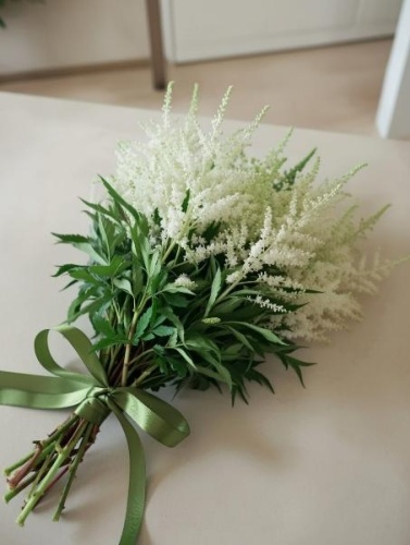 Астильба белая "Вашингтония" — пушистый цветок в срезке | Для свадебных и нежных букетов SR492 купить в Москве