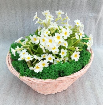 Примула в корзине Круг https://corzinaflowers.ru/catalog/tovary_k_prazdnikam/paskha/primuly_kompozitsii_na_paskhu/11289/