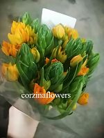 Орнитогалум желтый Саншайн срезка SR532 купить в Москве