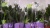 Замиокулкас Замиелистный цветок в горшке https://corzinaflowers.ru/catalog/komnatnye_rasteniya_i_tsvety/kaktusy_ekheverii_i_dr_sukkulenty/zamiokulkas_dollarovoe_derevo/611/