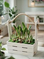 Первоцветы в ящичке со жгутом KM774 купить в Москве