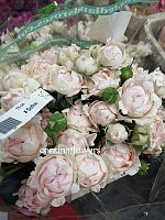 Роза куст Софин букет, срезка SR325 купить в Москве