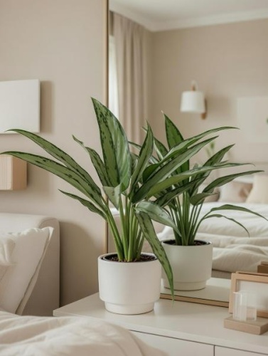 Консультация Спокойный Старт