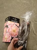 Пион травянистый Пинк Хаваян Корал саженец OG168 купить в Москве