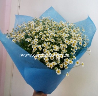 Букет ромашек в голубом фетре 25 шт  https://corzinaflowers.ru/catalog/bukety_iz_tsvetov_fruktov_ovoshchey_i_dr/buket_romashki/2408/