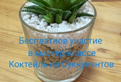 Розыгрыш 2 бесплатных сертификатов на Мастер-класс суккуленты