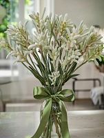 Анигозантус Баш Даймонд срезка SR654 купить в Москве