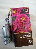 Пион древовидный Лиловая Фантазия саженец OG249 купить в Москве