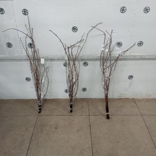 Прунус Альба плена ветки SR223 купить в Москве фото 3