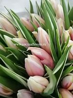 50 Тюльпан вариегатных Энкель Марк дизайн срезка SR104 купить в Москве