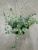 Седум Зибольда подвесной 15 https://corzinaflowers.ru/catalog/komnatnye_rasteniya_i_tsvety/3706/