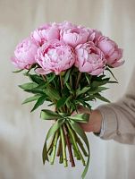 Пион Сара Бернар 9 шт букет SR120 купить в Москве