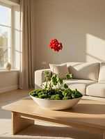 Герань в кашпо Ладья подарочная KM1044 купить в Москве