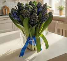 Гиацинт Дельфиниум блю 25 шт SR28 купить в Москве
