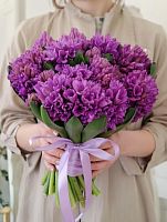 Розовые гиацинты Анна Лиза срезка 25 шт SR178 купить в Москве