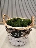 9 подснежников в корзине Гарден KM624 купить в Москве