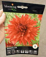 Георгина Креве  Кер клубни L856 купить в Москве