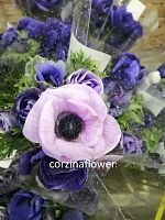 Анемон лавандовый 9 шт срезка SR592 купить в Москве