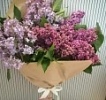 Сирень букет Сирень букет