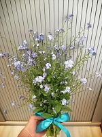 Незабудки букет 50 шт SR732 купить в Москве