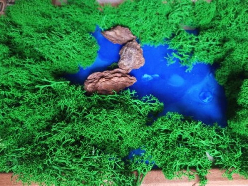 Мастер-класс «Картина из мха» — видеоинструкция от Оксаны Лукияненко K33 Мастер-класс «Картина из мха» — видеоинструкция от Оксаны Лукияненко K33