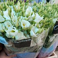 Эустома Ботаник Вайт срезка SR1136 купить в Москве