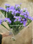 Статица фиолетовая Скай Вингс сухоцвет SR487 купить в Москве