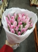 Розовые тюльпаны Энкель Ферст класс 50 шт срезка SR144 купить в Москве