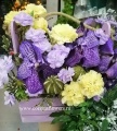 Орхидеи Ванды композиции купить в Москве