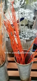 Мицумата оранжевые ветки пучок Suh7 купить в Москве