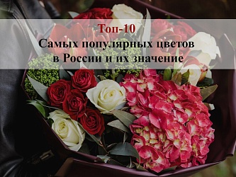 Топ-10 самых популярных цветов в России и их значение